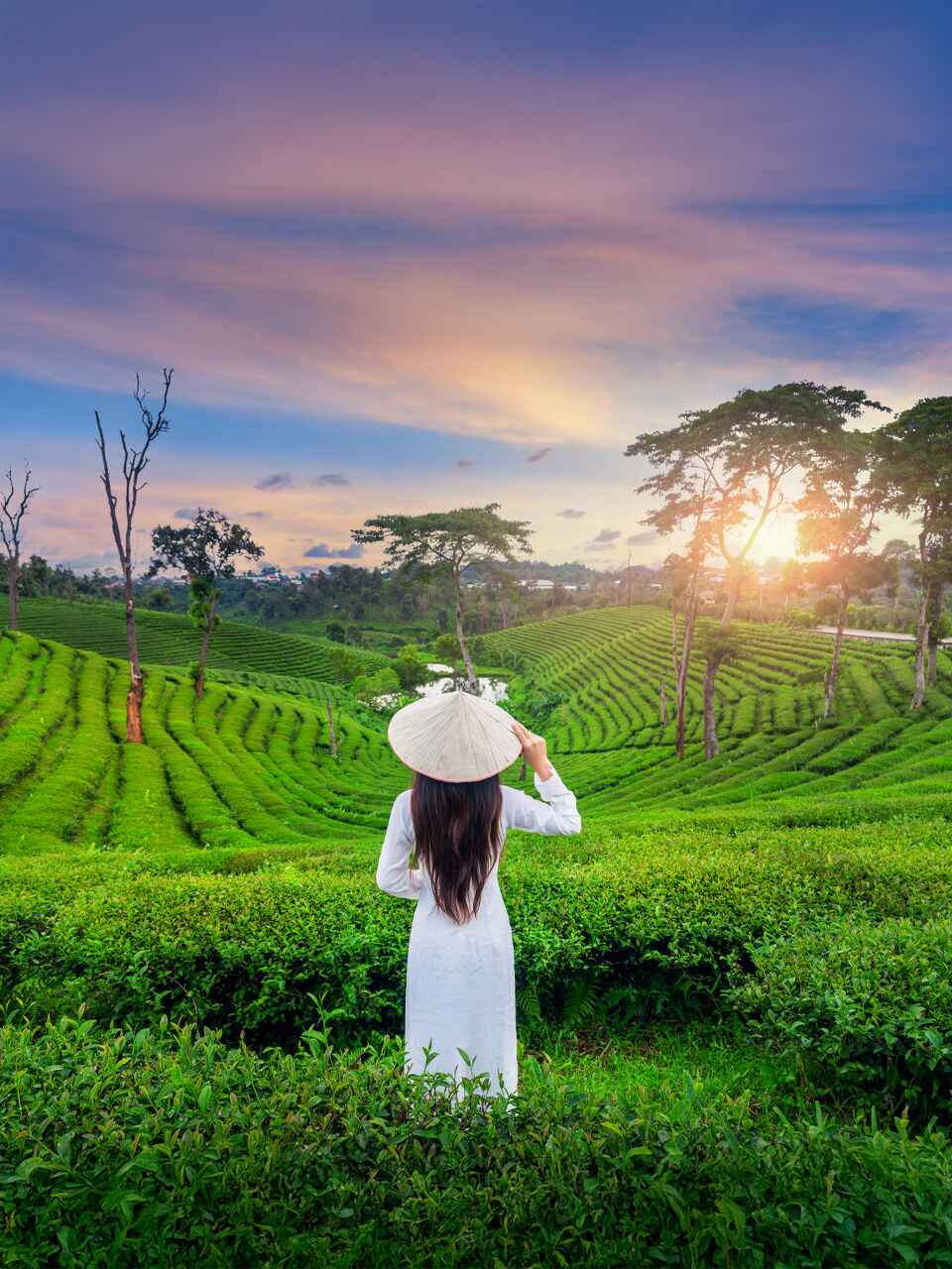 Kerala